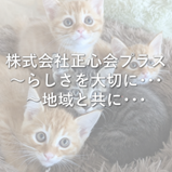 case-000038-top.png
