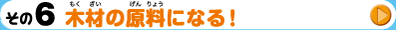 その6　木材の原料になる！