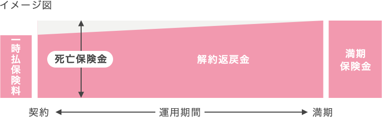 保険 養老 養老保険（福利厚生プラン）の注意点｜経理処理と税務上の取扱