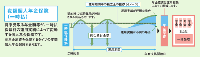 変額個人年金保険(一時払)