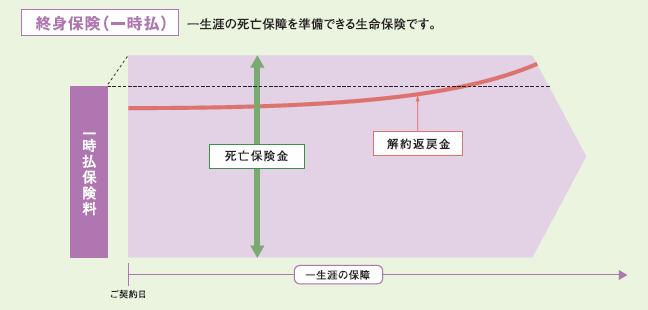 終身保険(一時払)