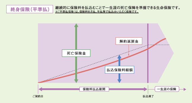 終身保険（平準払）