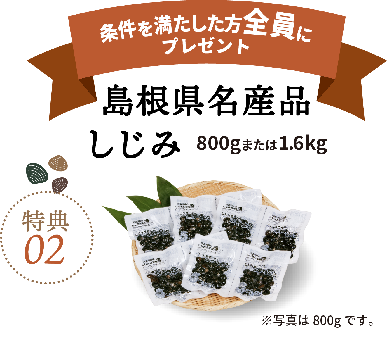 抽せんで100名さまにプレゼント オリジナル一畑電車模型