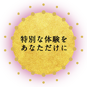 特別な体験をあなただけに