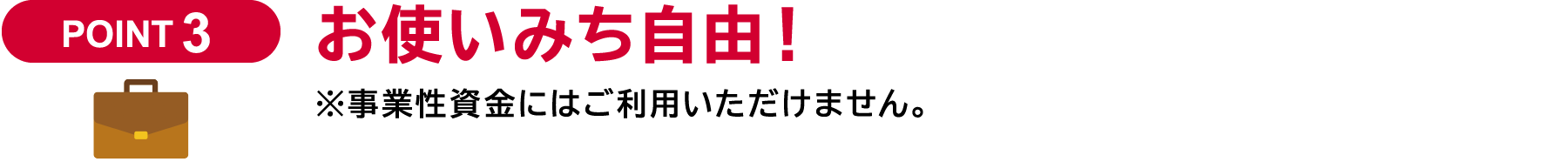 お使いみち自由！※事業性資金にはご利用いただけません。