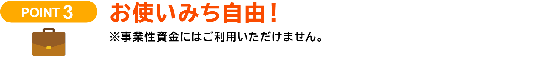 お使いみち自由！※事業性資金にはご利用いただけません。